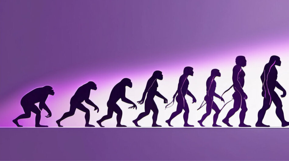 Evolution